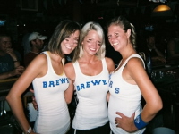 Brewer Chicks